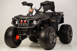 Квадроцикл K111KK 2WD